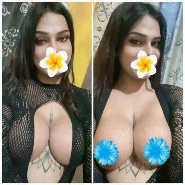 Verified Shemale Cam Show Beautiful Shemale Genuine Live Cam Show Available ❤️😇